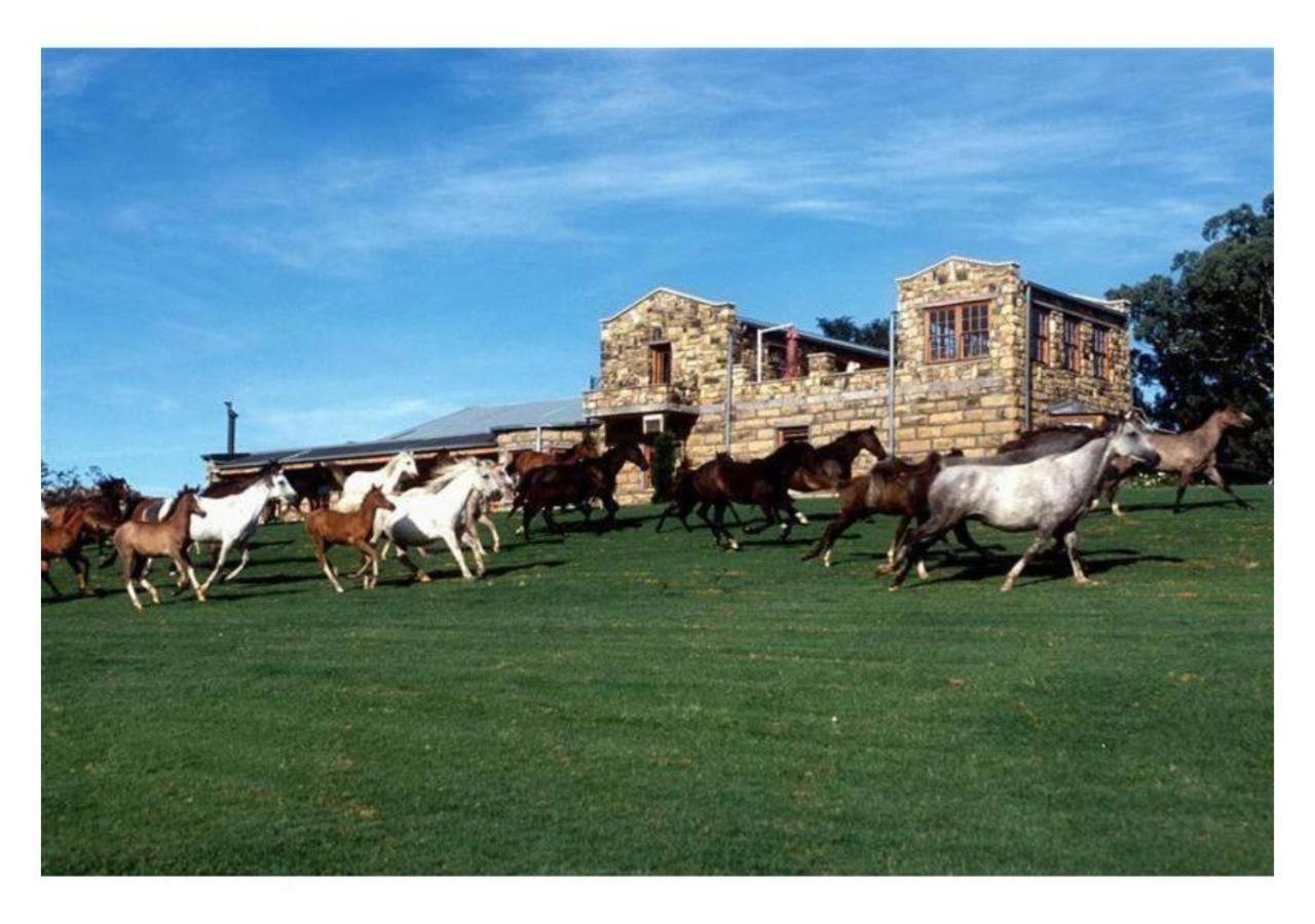 Moolmanshoek Private Game Reserve Fouriesburg Exteriör bild